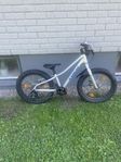 Trek Roscoe