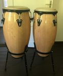 Conga