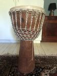 African Djembe drum