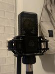 Lewitt LCT 440 Pure Mikrofon