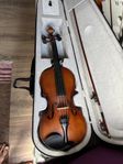 violin/ Fiol