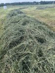 hösilage