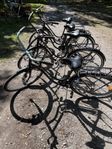 semestercykel