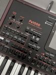 Korg pa1000