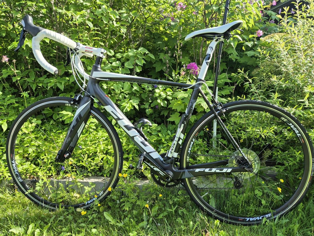 Fuji Altamira 2.0 Ultegra. St...