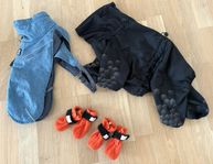 Vinterkläder hund