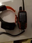 garmin hundpejl  med 2st halsband