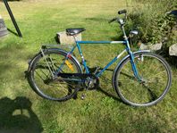 Rex herrcykel