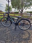 Fin City Bike