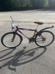 cykel
