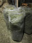 Kanin/marsvinshö 7 kg säck
