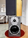 Dynaudio Audience 42