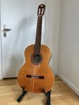 Alhambra Maestro 100 Electric