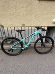 Bianchi Magma 9s 29 12 v, 38 cm Turkos
