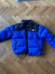 The North Face Nuptse 700, vinterjacka storlek L