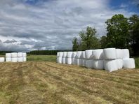 Hösilage