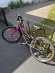 specialized 24 tum