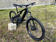 Specialized Turbo Levo Alloy