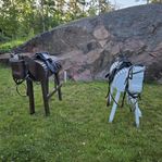 Trähäst, sadel, träns. Lekhäst