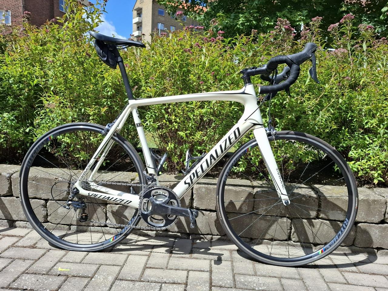 Specialized Tarmac Expert 