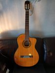 Takamine Akustisk Nylon