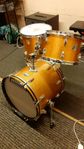 Ludwig Bop-Kit (Frankenstein)
