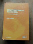 Straffprocessuella tvångsmedel - Gunnel Lindberg