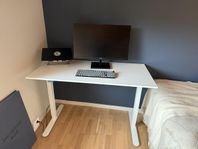 SVANEKE höj och sänkbart skrivbord 60x120