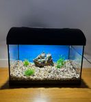 akvariumFisk