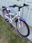 flickcykel 24
