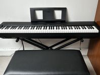 yamaha p45b