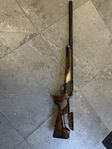 Blaser R8 success silence