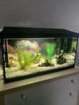 Akvarium startpaket 54 liter