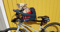 Buddyrider hundsits för cykel