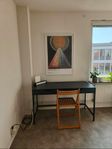 Alex skrivbord (IKEA)