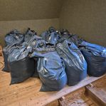 Spån ca 4 kubik, bortskänkes mot avhämtning