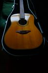 gitarr furch D22SR