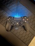PS4 Battlebeaver