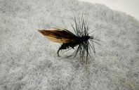 Alder #12 6pack torrfluga öring harr regnbåge