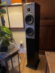 Audiovector Ki3 Signature