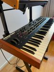 Dave Smith Prophet REV2 8-Voice + Stativ