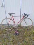 CHESINI Racer