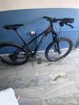 trek roscoe 7