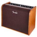 Fender akustik 100