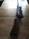 22 lr repeterstudare