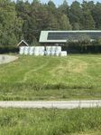 Hösilage