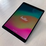 iPad Pro 10.5 tum 64 GB i fint skick