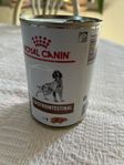Royal Canin 