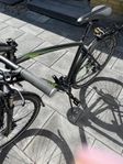 Herr Crescent hybrid cykel starren 24 växlar