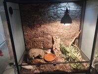 Terrarium